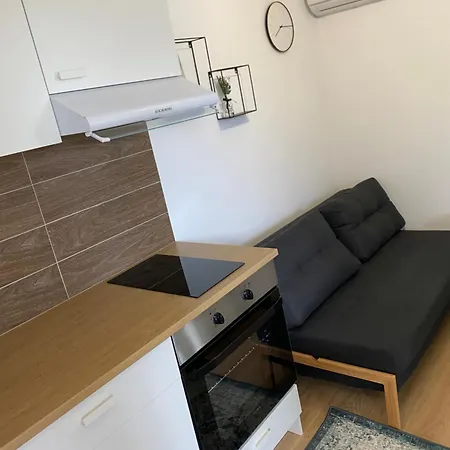 New Palm In Holiday home